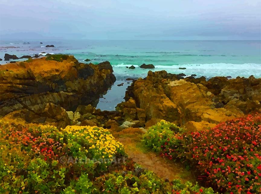 Monterey Wildflowers El Nino